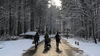 Center Parcs Elveden Forest 2018  Day 1 [upl. by Mamie369]