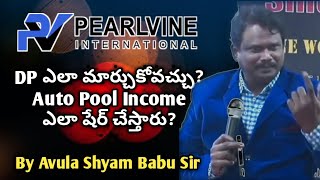 Pearlvine International How the DP is distributed in Auto poolBy Avula Shyam Babu SirTelugu [upl. by Polish]