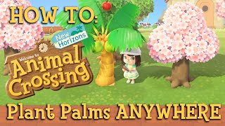 How to plant Palm Trees ANYWHERE  Animal Crossing New Horizons [upl. by Alatea]