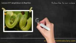 Amphibians amp Reptiles Vocabulary Picture Video Lesson  Learn List of Amphibians amp Reptiles  1 [upl. by Yrnehnhoj]