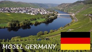 Mosel Wine tourism German Riesling Wine Moselle Valley Germany wines DeutschlandTourismus Travel [upl. by Laval]