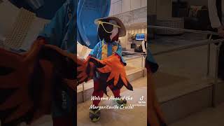 The Welcome Aboard on Margaritaville Cruises Margaritaville Cruise travel travelvlog [upl. by Akieluz]