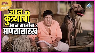 जात कुत्र्याची आन गातोय माणसासारखं  तुमचं आमचं जमलं Tumcha Aamcha Jamla  Dada Kondke Comedy Movie [upl. by Ayak]