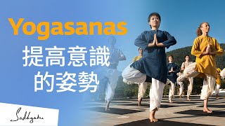 Yogasanas（瑜伽體式）— 提高意識的姿勢  Sadhguru 薩古魯 [upl. by Eninnaej]