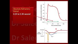 Refractory period in cardiac muscle fiber [upl. by Nylarad484]