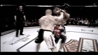 Lesnar vs Overeem [upl. by Odranar]