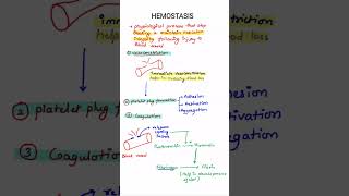 Hemostasis  Blood Clotting  Blood Physiology  MBBS 1ST YEAR [upl. by Tillinger]