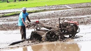 Miniature VST Shakti 130 Tractor With Altration Mud Leveling Setup On BellBoy  Palleturi Village [upl. by Aon]