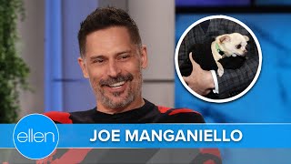 Joe Manganiello Had Immediate Bond with His Dog Bubbles [upl. by Trust192]