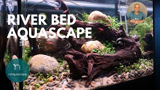 HOW TO TUTORIAL  River bed planted tank 2021 [upl. by Ylnevaeh]