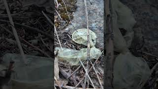 I Found Disgusting Thing From My Last Stealth Camping Spot [upl. by Odawa]