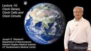 Joseph Takahashi UT SouthwesternHHMI Part 1A Circadian Clocks Clock Genes Cells and Circuits [upl. by Nnairret279]