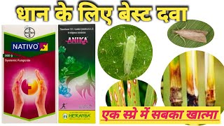 धान के लिए बेस्ट दवा Nativo Systemic Fungicide Anika Insecticidedhaan ki dva Lambda insect [upl. by Elrak]