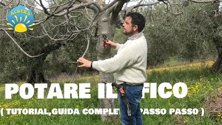 POTARE IL FICO Ficus Carica TUTORIAL COMPLETO e PROVA PRATICA guida passo passo [upl. by Nevyar]