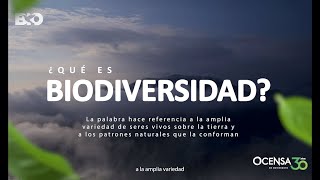 ¿Qué es biodiversidad [upl. by England]