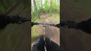 ROLLBACK dans lARBRE en VTT epic mtb enduro bikelover [upl. by Oneladgam454]