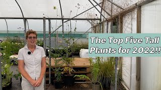 My Top 5 Tall Plants [upl. by Namor]