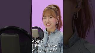 Apink 에이핑크 I Dont Know Acapella vers [upl. by Aicetel829]