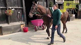 Newmarket Gallops 170824  Julia Feilden Racing [upl. by Anelim14]