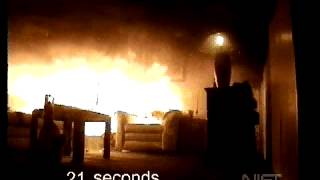 Christmas tree fire destroys a living room [upl. by Quartet668]