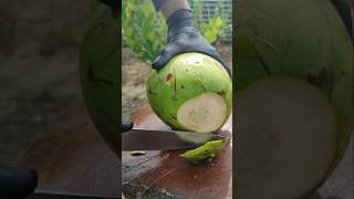 Super green coconut skill techniques coconut [upl. by Anisamoht]