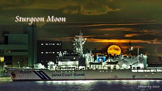 Sturgeon Moon [upl. by Saticilef567]