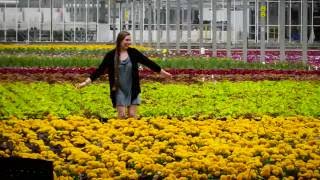 Ready for a Career in Floriculture or Horticulture [upl. by Imyaj]