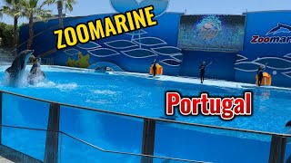 Zoomarine Portugal  Algarve  Travel vlog  Dolphins show [upl. by Enelyar]