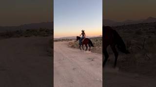 trail ride back home 🙃 desert trailride arizona cowgirl [upl. by Ggerk]