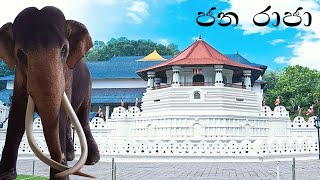 ජන රාජා [upl. by Saretta]