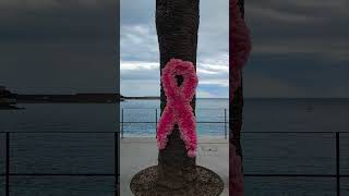 Collioure Octobre rose [upl. by Narahs]