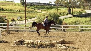 SOLOSHOT3  Equestrian Filmed with Optic65 Camera [upl. by Alleacim]