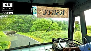 GAVI Trip on KSRTC Bus 🔥 Part 3 Full Tour 🔥 NH 183A 🔥 Pathanamthitta  Gavi  Kumily 🔥 4K  60 FPS [upl. by Yerhpmuh867]