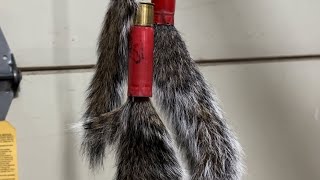 Squirrel Tail Ornament and Trophy Tail [upl. by Alda]