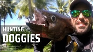 Hunting Doggies Dogtooth Tuna  Spearfishing in Caluya Islands Philippines  Solo shoredives [upl. by Aneba615]