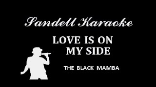 The Black Mamba  Love is on My Side Karaoke [upl. by Nwahsear]