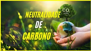 a neutralidade de carbono exige muito uso de terra [upl. by Menashem730]