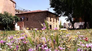 Bañuelos de Bureba y el Maestro Benaiges [upl. by Ulyram]