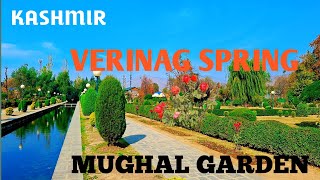 Mughal garden in kashmir Verinag springSource of River Jhelum 💦🥰mughalgardens [upl. by Shue168]