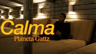 Calma Pedro Capó Cover  Planeta Gattz x Ángel Gattz [upl. by Mellisent332]