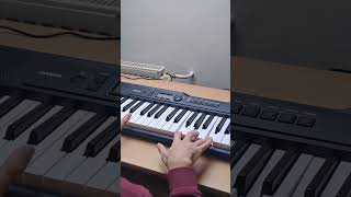 Enya  A Day Without Rain cover enya music enyamusic piano keyboard [upl. by Eelytsirk]