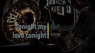 tonight my love tonight  Paul Anka EgoB cover [upl. by Lua]