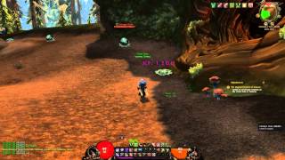 Hear Kitty  World of Warcraft Addon  Rogue custom sounds [upl. by Anelrad]