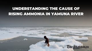 Ammonia in Delhi’s Water Understanding the Causes and Protecting Our Health  TheStatesman [upl. by Snej118]