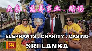 Elephants Charity Casino  大象 慈善事业 赌场  斯里兰卡  ORHPANAGE  CASINO MARINA  COLOMBO  SRI LANKA [upl. by Ynaffit660]