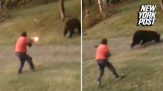 Grizzly bear takes shotgun blast at pointblank range and keeps charging  New York Post [upl. by Eerol833]