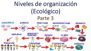 Niveles de organización Ecológico [upl. by Kakalina]