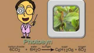 Photosynthesis song new and complete version [upl. by Philps]