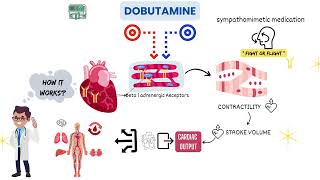 Dobutamine  Drug uses in ICU with MOA and dosing [upl. by Zzahc]