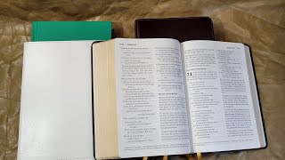 Berean Standard Bible Review [upl. by Ailima]